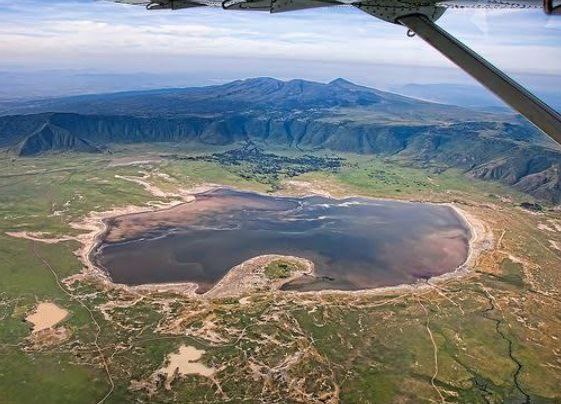 Safari Mikumi National Park